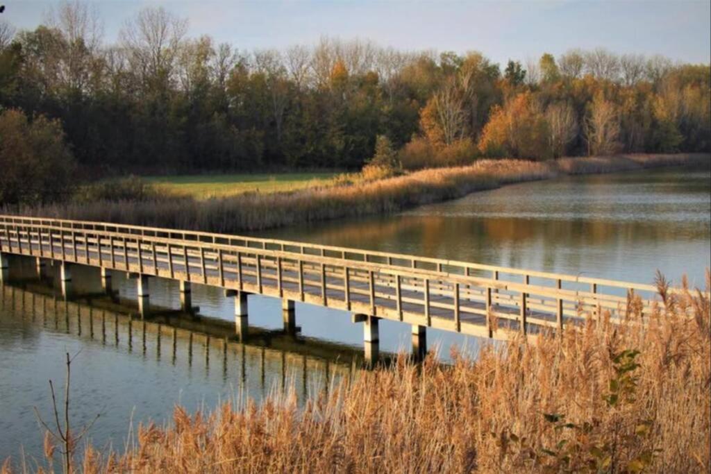 Huisje Vogelenzang Zeeland Sint-Annaland Exterior foto