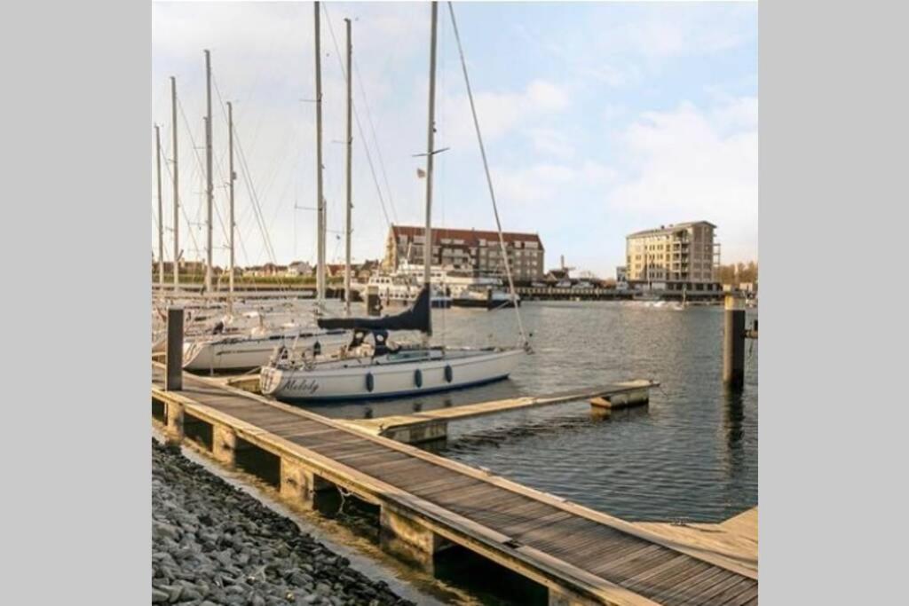 Huisje Vogelenzang Zeeland Sint-Annaland Exterior foto