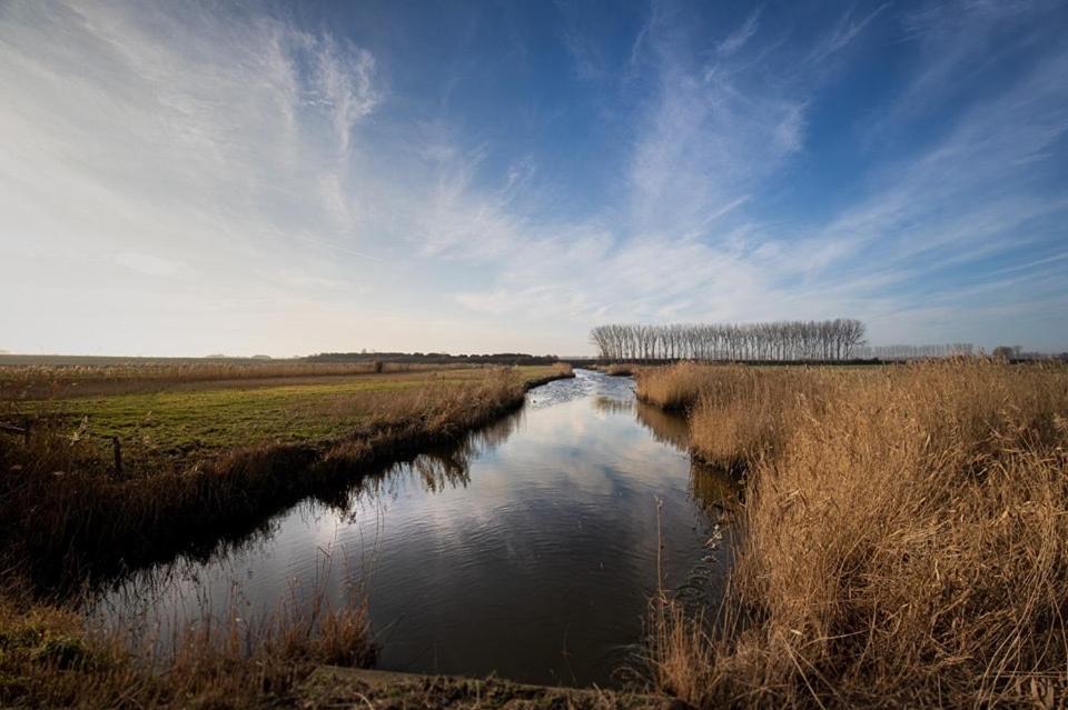 Huisje Vogelenzang Zeeland Sint-Annaland Exterior foto